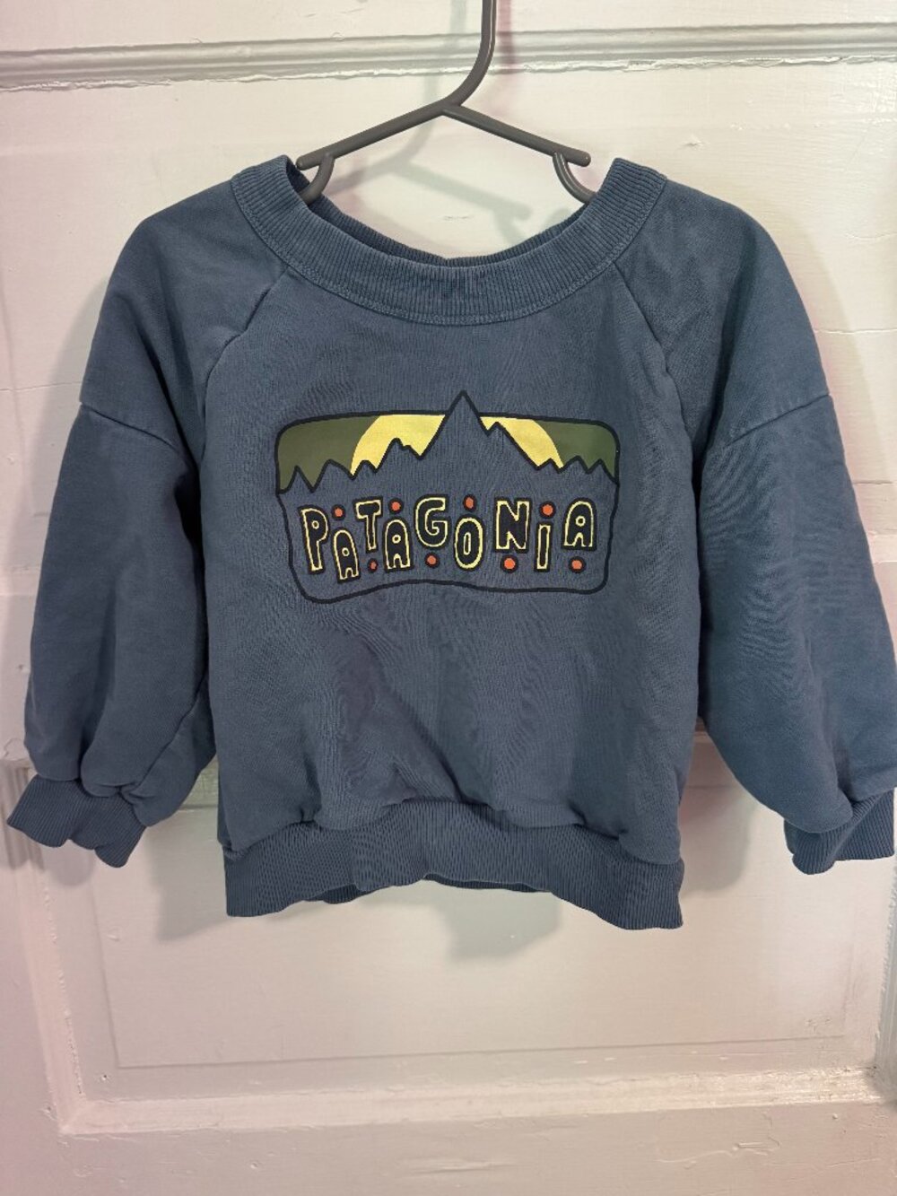 Kid's Patagonia 4T Sweatshirt EUC